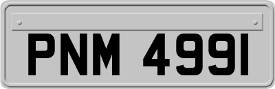 PNM4991