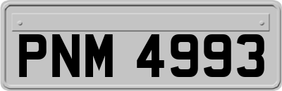 PNM4993