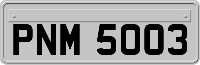 PNM5003