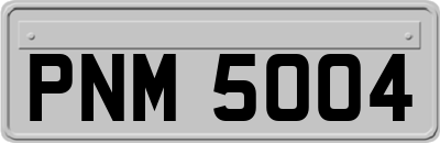 PNM5004