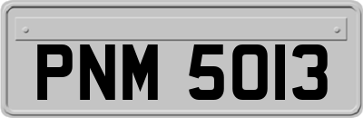 PNM5013