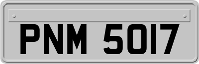 PNM5017