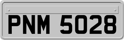 PNM5028