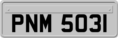 PNM5031