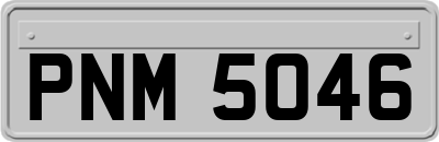 PNM5046