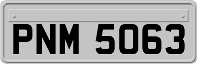 PNM5063
