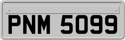 PNM5099