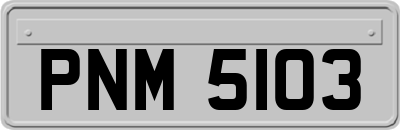 PNM5103