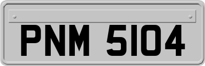 PNM5104