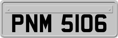 PNM5106