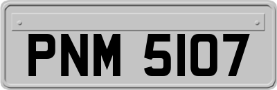 PNM5107