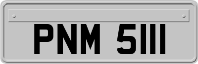 PNM5111