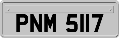 PNM5117
