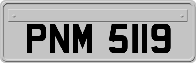 PNM5119