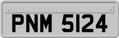 PNM5124