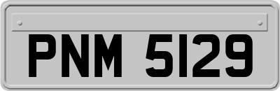 PNM5129