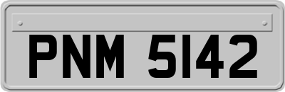 PNM5142