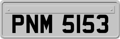 PNM5153