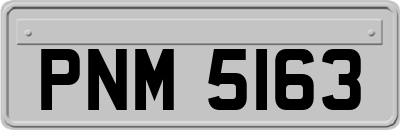 PNM5163
