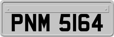 PNM5164
