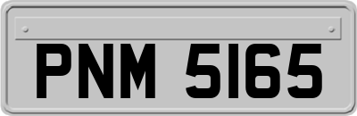 PNM5165