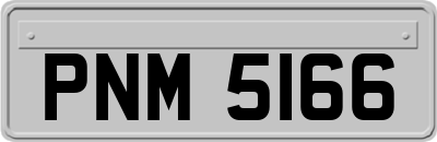 PNM5166