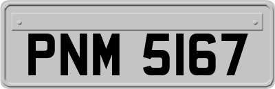 PNM5167
