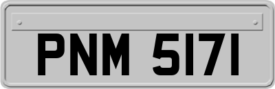 PNM5171