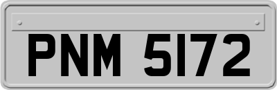 PNM5172