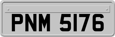 PNM5176