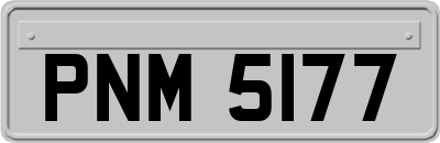 PNM5177