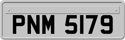 PNM5179