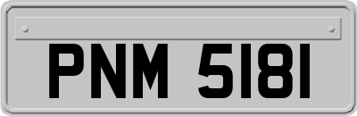 PNM5181