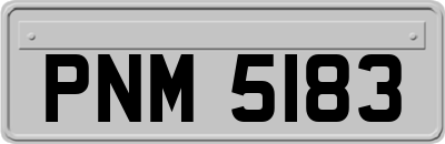 PNM5183