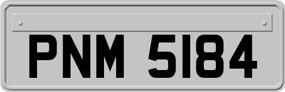PNM5184