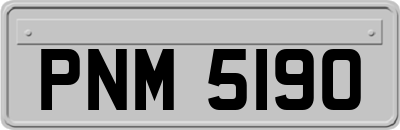 PNM5190