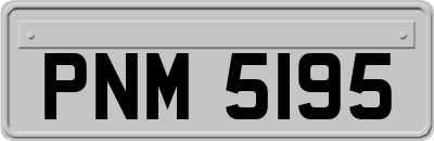 PNM5195