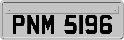 PNM5196