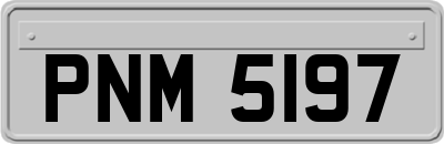 PNM5197