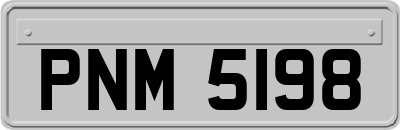 PNM5198
