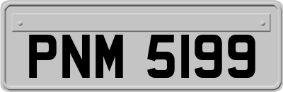 PNM5199