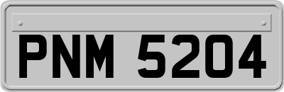 PNM5204