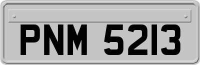 PNM5213