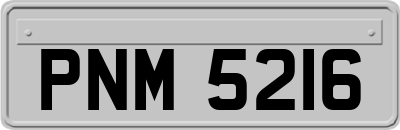 PNM5216