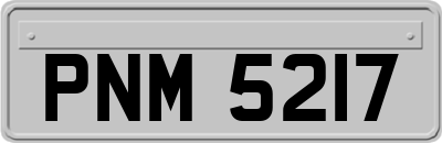 PNM5217