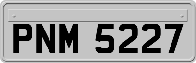 PNM5227