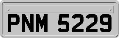 PNM5229