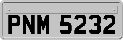 PNM5232