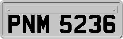 PNM5236