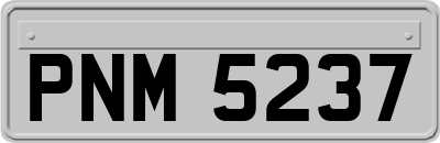 PNM5237
